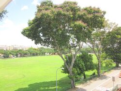 Silver Hill (D19), Terrace #555471121